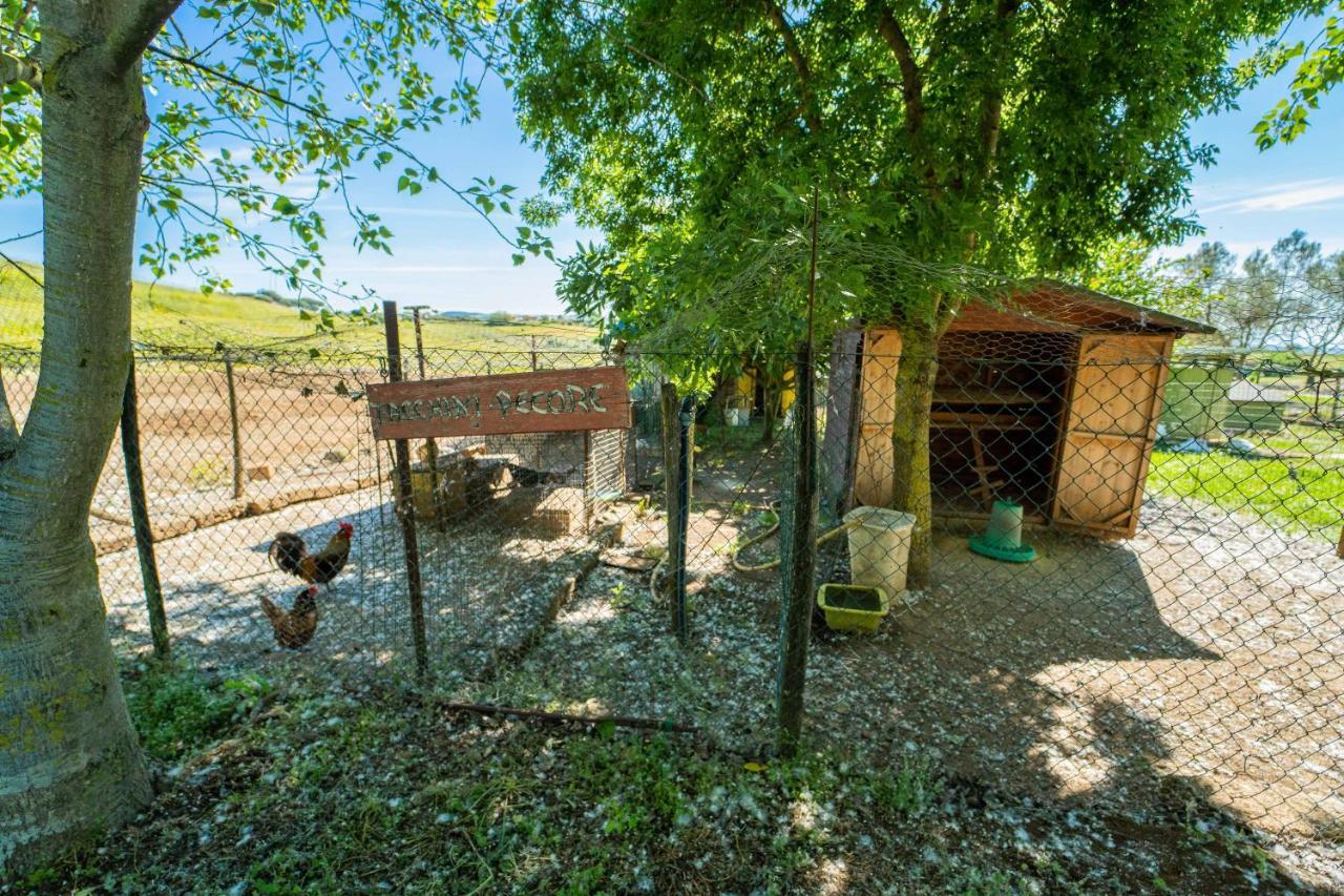 Agriturismo Zugarelli Anguillara Sabazia Extérieur photo