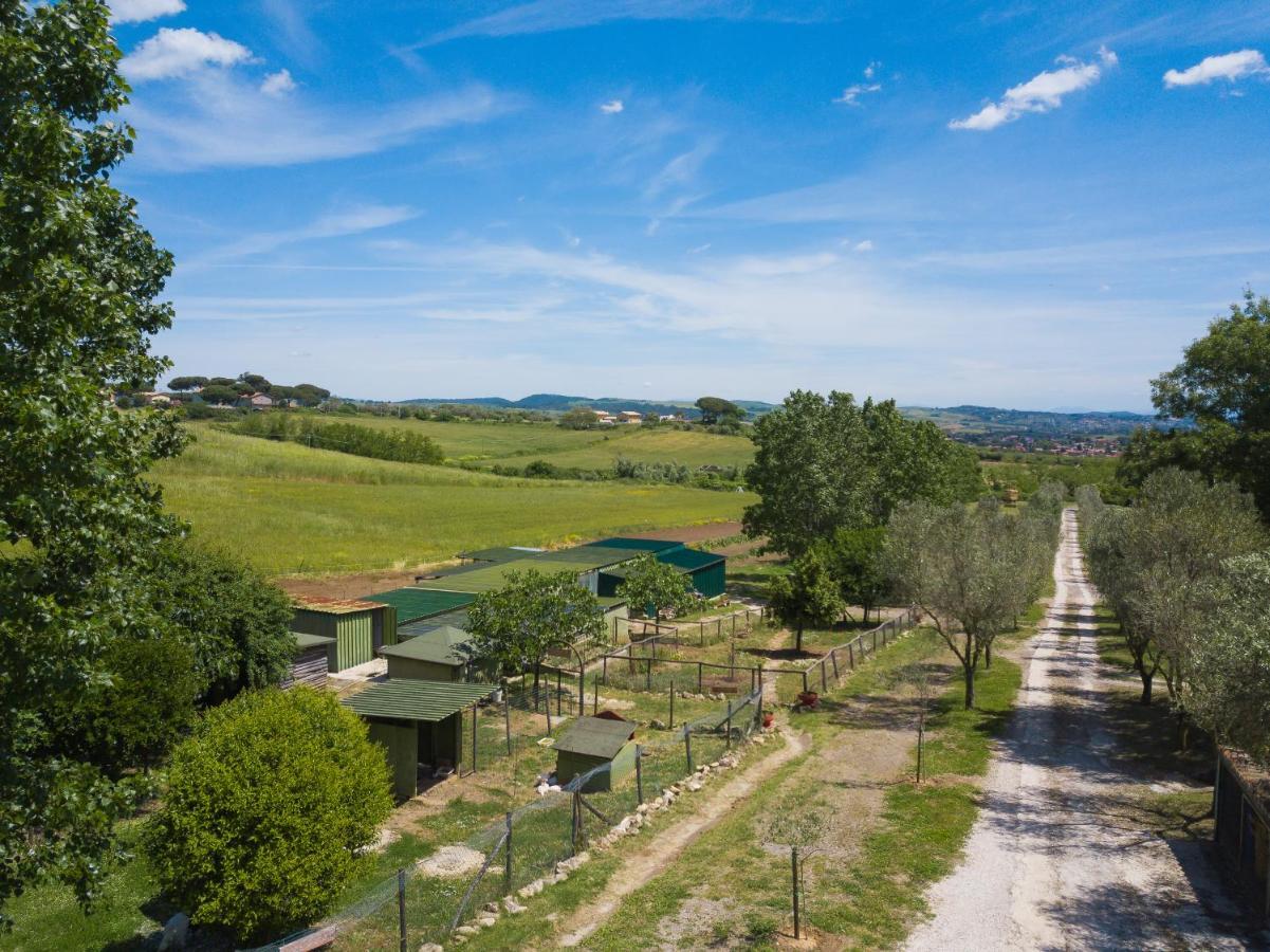 Agriturismo Zugarelli Anguillara Sabazia Extérieur photo