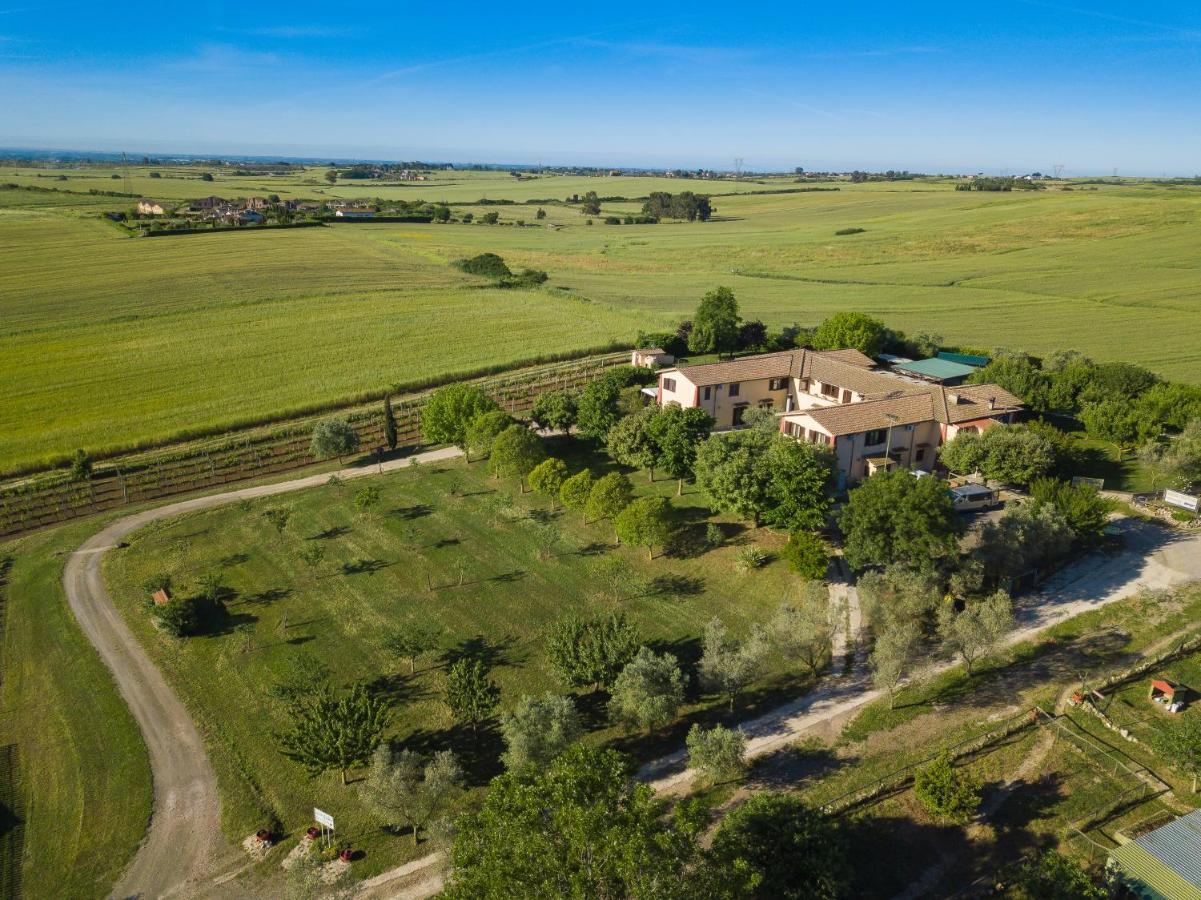 Agriturismo Zugarelli Anguillara Sabazia Extérieur photo
