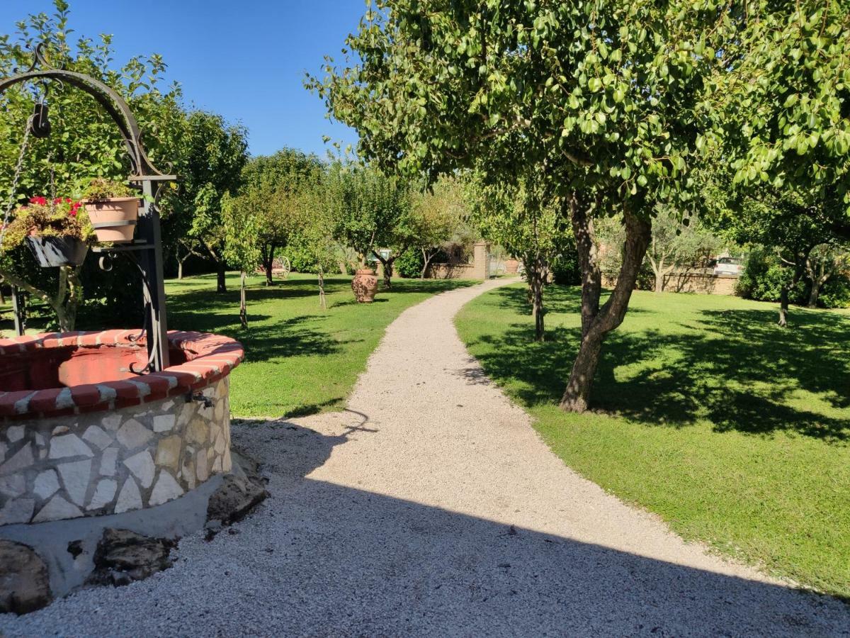 Agriturismo Zugarelli Anguillara Sabazia Extérieur photo